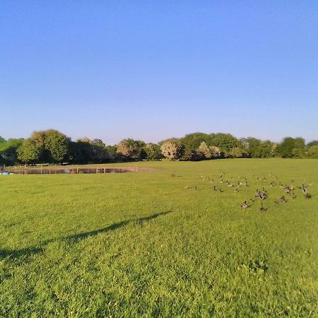 Hotel Castletownmoor Clinic & Permaculture Farm Kells  Exterior foto