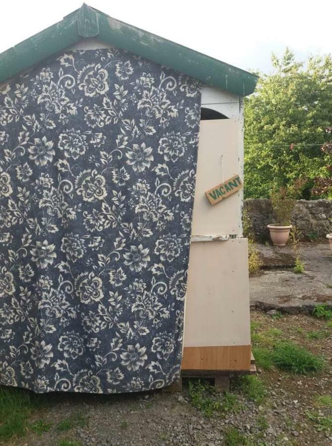 Hotel Castletownmoor Clinic & Permaculture Farm Kells  Exterior foto