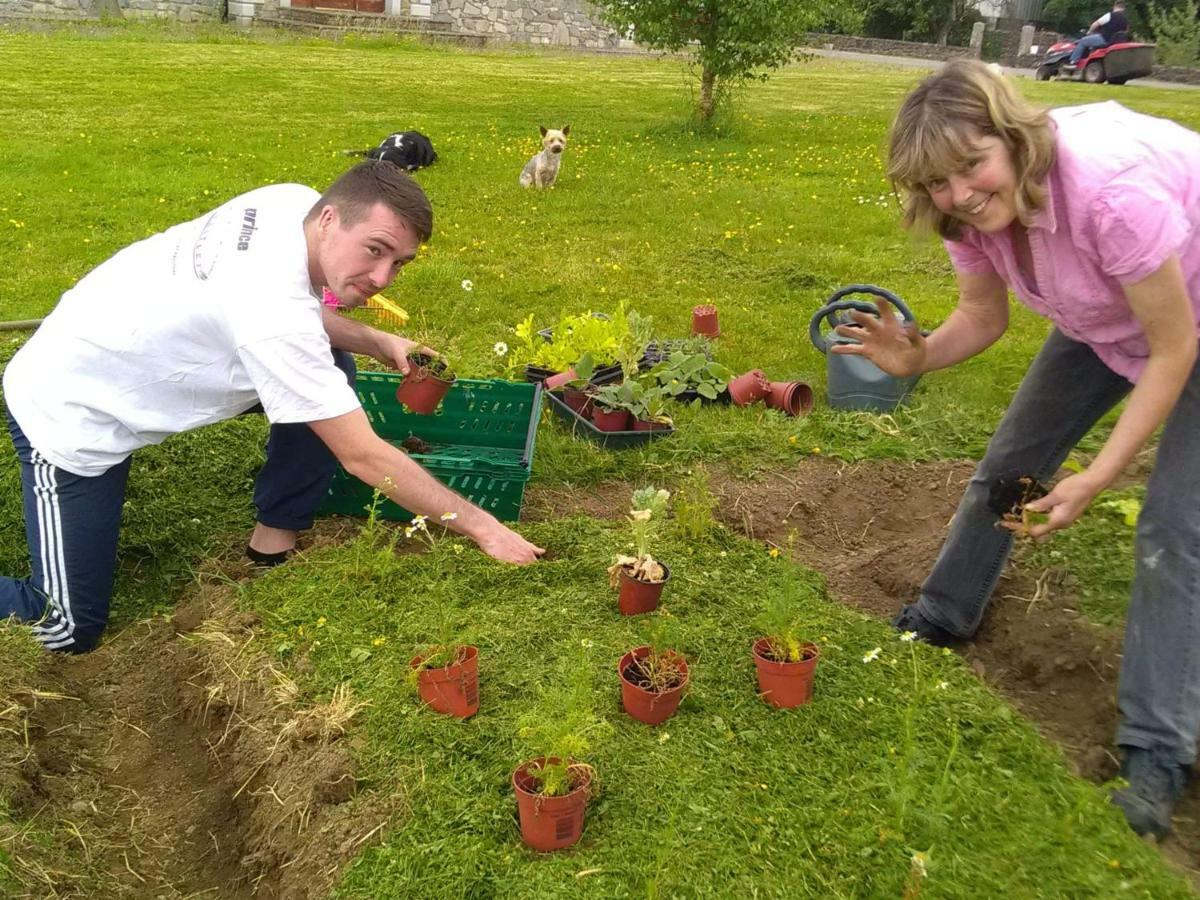 Hotel Castletownmoor Clinic & Permaculture Farm Kells  Exterior foto